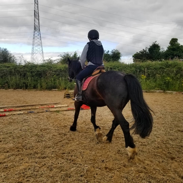  Adquirir un nuevo hobby 