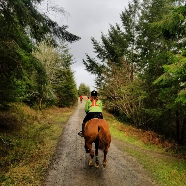  Aprende a subir a caballo 