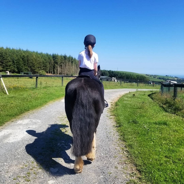  Deja que tus hijos se diviertan 