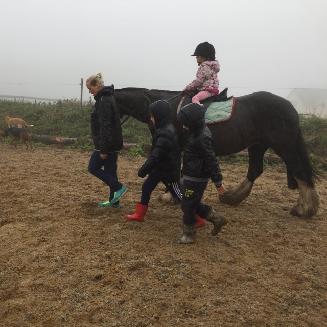  Nos encantan nuestros ponis