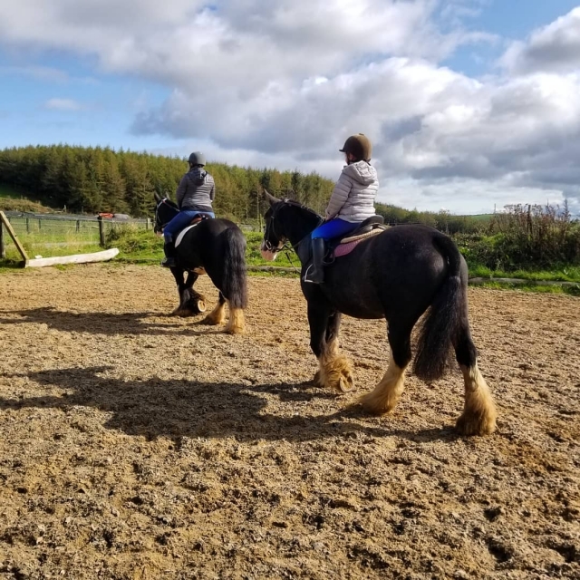  Bienvenidos a nuestros establos 