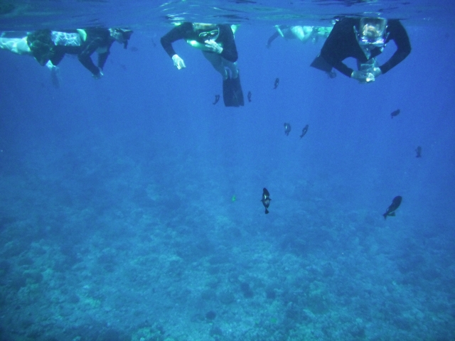  Explorando bajo el agua