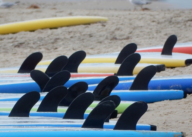  Renta de paddleboarding 
