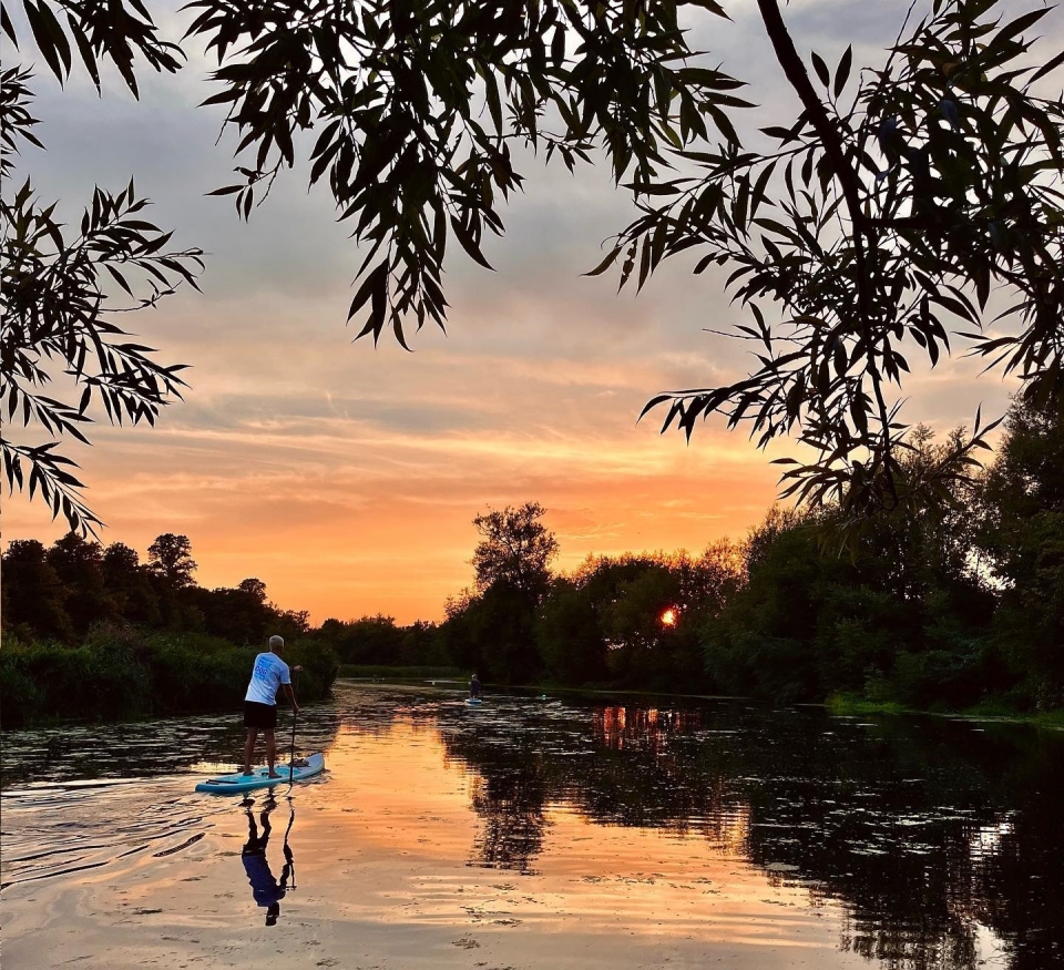 Aprende a remar 