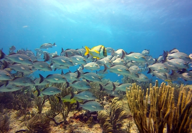  Explora un mundo nuevo 