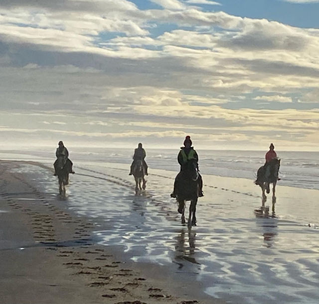  Experiencia inolvidable