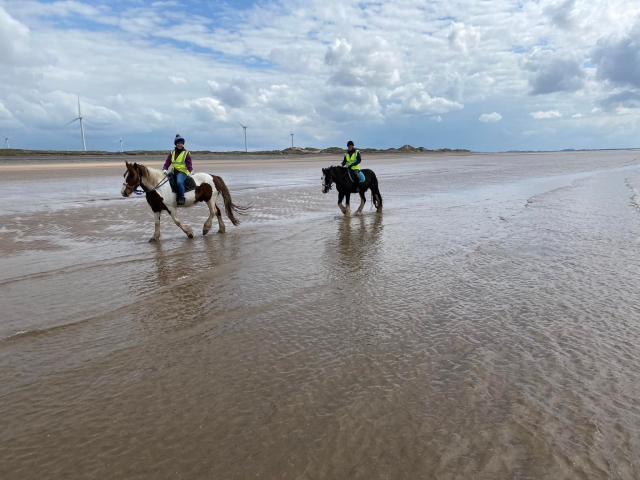  Experiencia fascinanle 