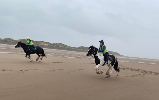 Disfrule de un paseo encantador 