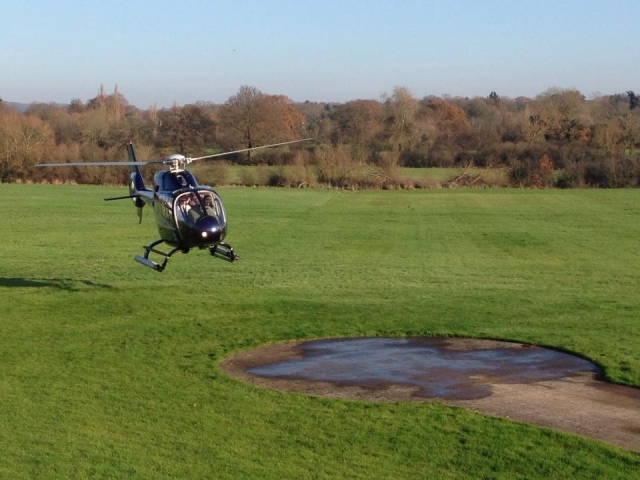  Tendrás la mejor matrícula 