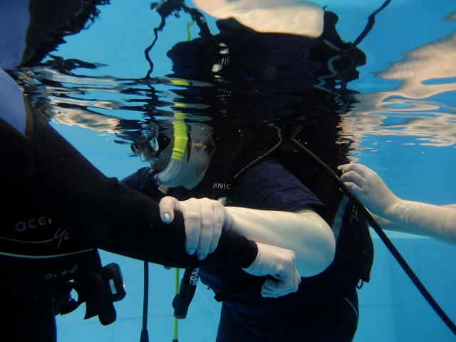 Contarás con los mejores instructores