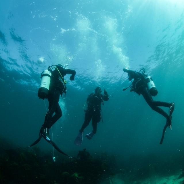 Explorarás un mundo invisible