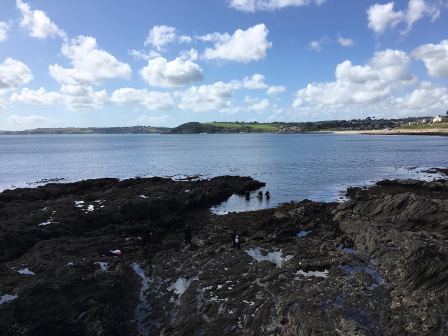 Tenemos el mejor lugar para bucear