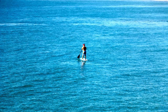  Renta nuestro equipo 