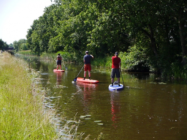  Remar con los suyos 