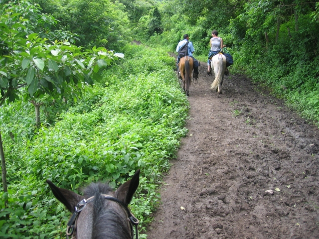  Paseo a caballo 