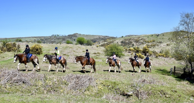  Venga con tus amigos