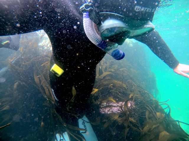  Explorando bajo el mar 