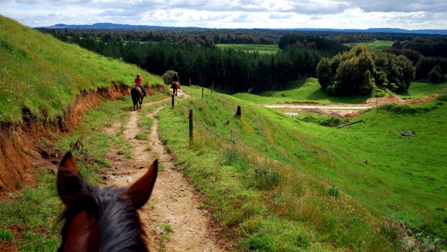  Disfrule de las vistas