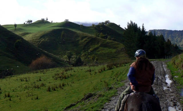  Aprenda nueva habilidades mientras camina 