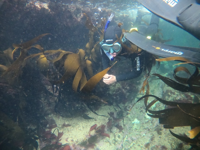  Disfruta de una experiencia divertida con nosotros 