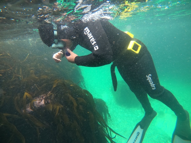  Explorando bajo el agua