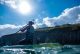 Paddle Surf Portrush