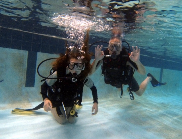 Disfruta de una divertida aventura con nosotros 