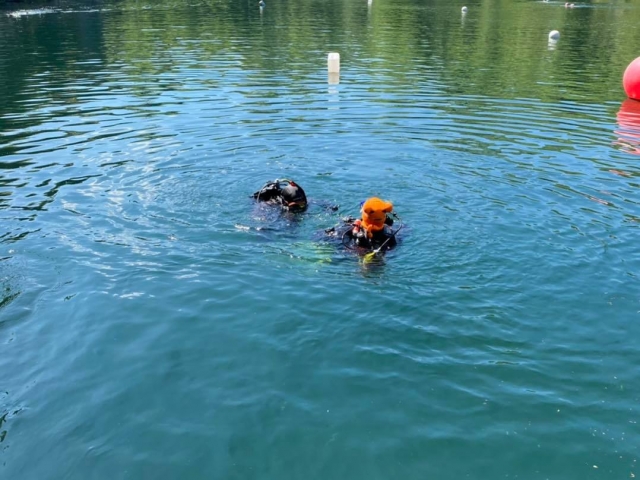  Disfruta su experiencia de buceo