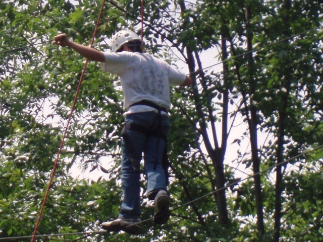  Aventuras en Harrogale 