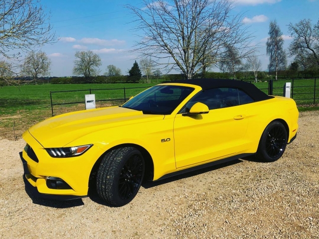  Salta en nuestro mustang 