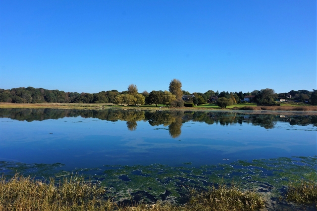 Vistas del río Hamble 