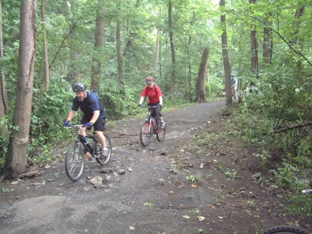  Aventura por el bosque 