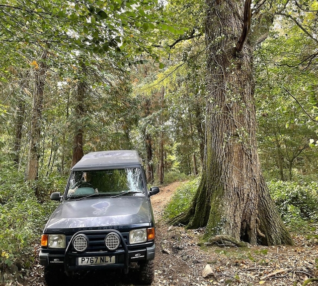  Explorando la zona 