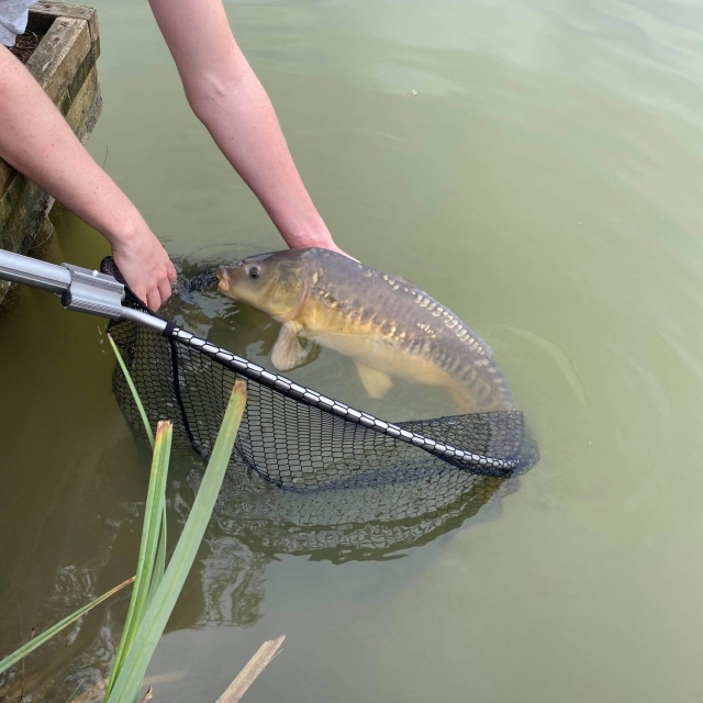  ¡Es su día de suerle! 