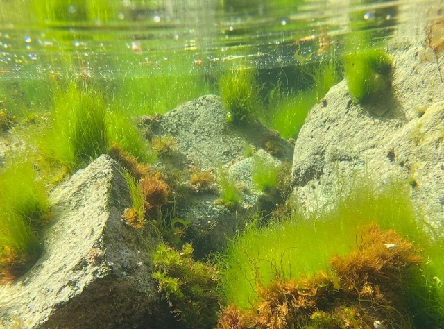 Embárcale en una aventura submarina