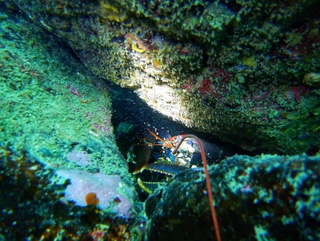 Hay mucho por descubrir