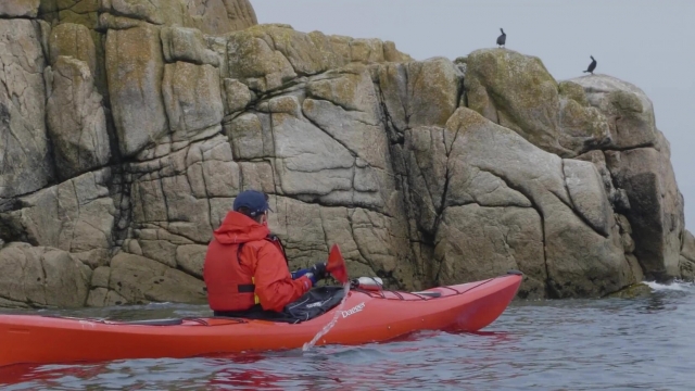  Observa las aves locales 