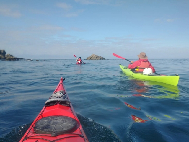  Divertida aventura en kayak de mar