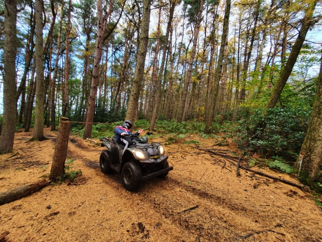  Pasa un día en el bosque 