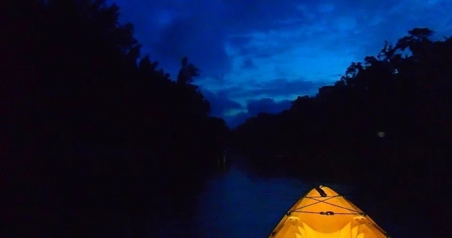 Regresa remando en la oscuridad 