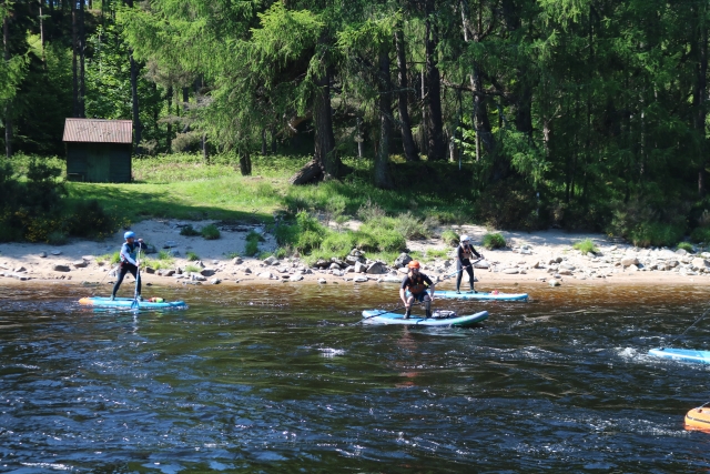  Aprende nueva habilidades junto a amigos