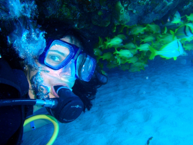  Aprende nueva habilidades para explorar el mundo submarino