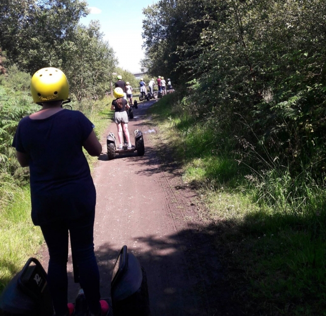  Sigue los senderos del bosque 