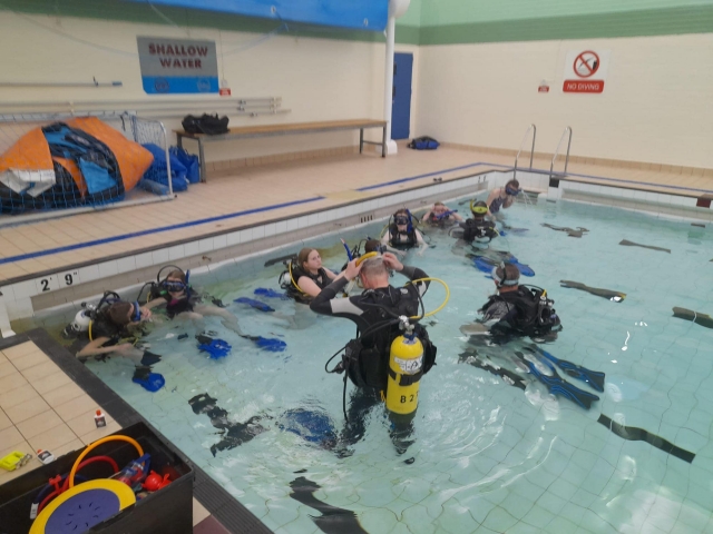  Estarás bajo la mejor instrucción 
