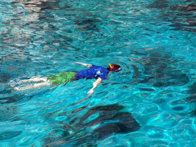  Aprende a explorar bajo el agua 