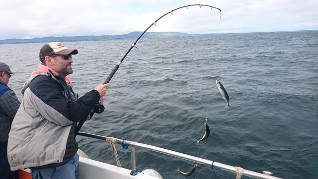  Pescando caballa 