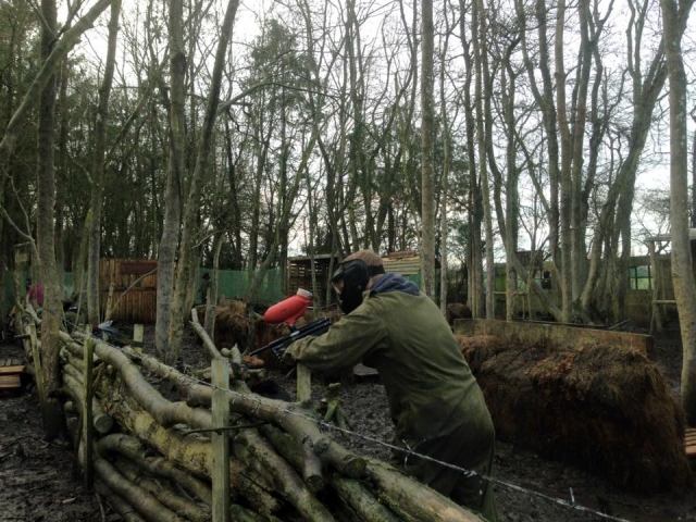  Luchando por el bosque 