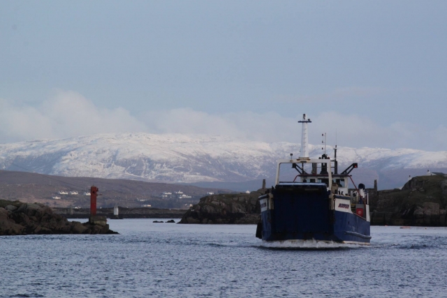 El ferry de la isla 