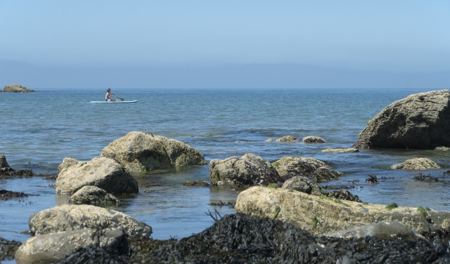  Paddleboarding en paz