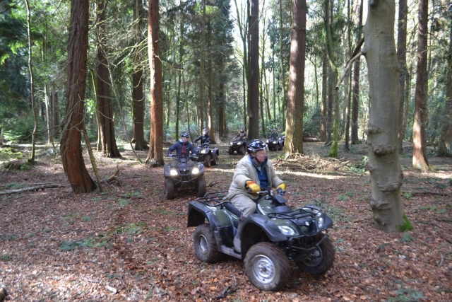  Explorando el bosque